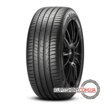 Pirelli Cinturato P7 (P7C2) 215/60 R16 99V XL