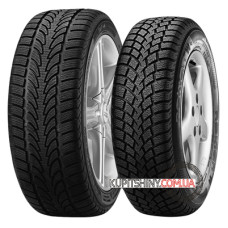Nokian W+ 205/55 R16 91T
