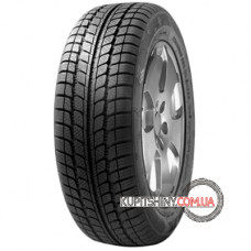 Sunny SNOWMASTER SN3830 225/55 R19 99V