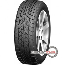 Doublestar WINTERKING DW09 215/45 R17 91H
